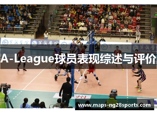 A-League球员表现综述与评价