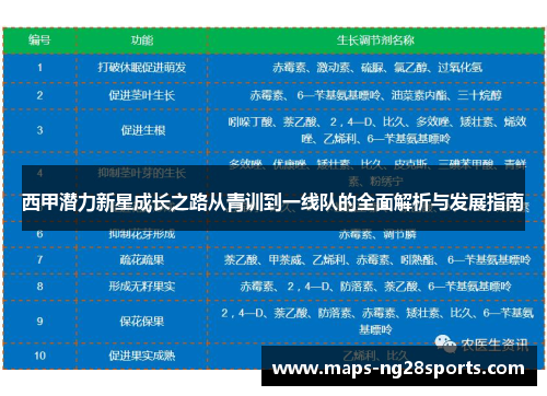 西甲潜力新星成长之路从青训到一线队的全面解析与发展指南