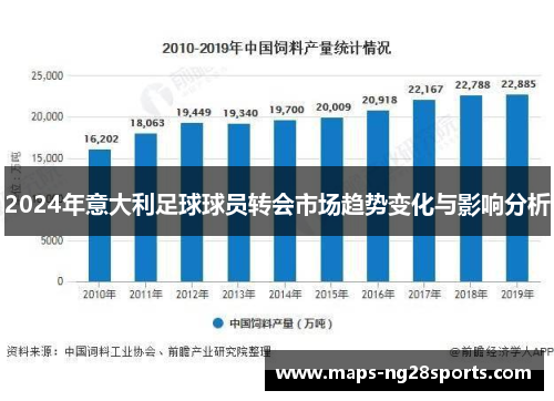 2024年意大利足球球员转会市场趋势变化与影响分析