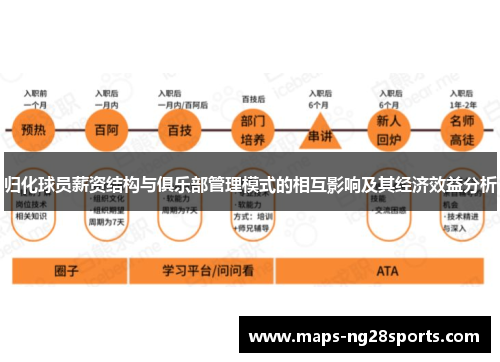 归化球员薪资结构与俱乐部管理模式的相互影响及其经济效益分析