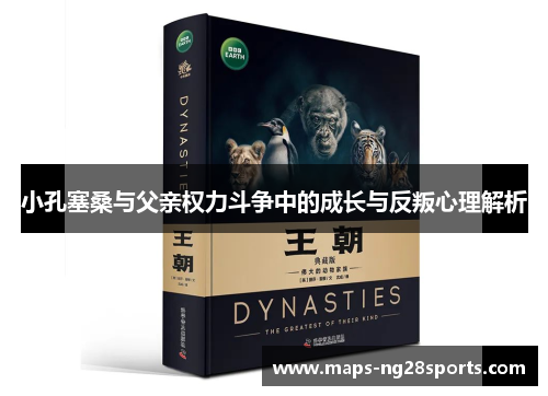 小孔塞桑与父亲权力斗争中的成长与反叛心理解析