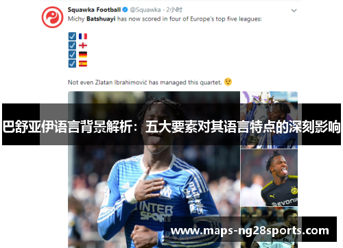 巴舒亚伊语言背景解析:五大要素对其语言特点的深刻影响 巴舒亚伊语言背景解析:五大要素对其语言特点的深刻影响